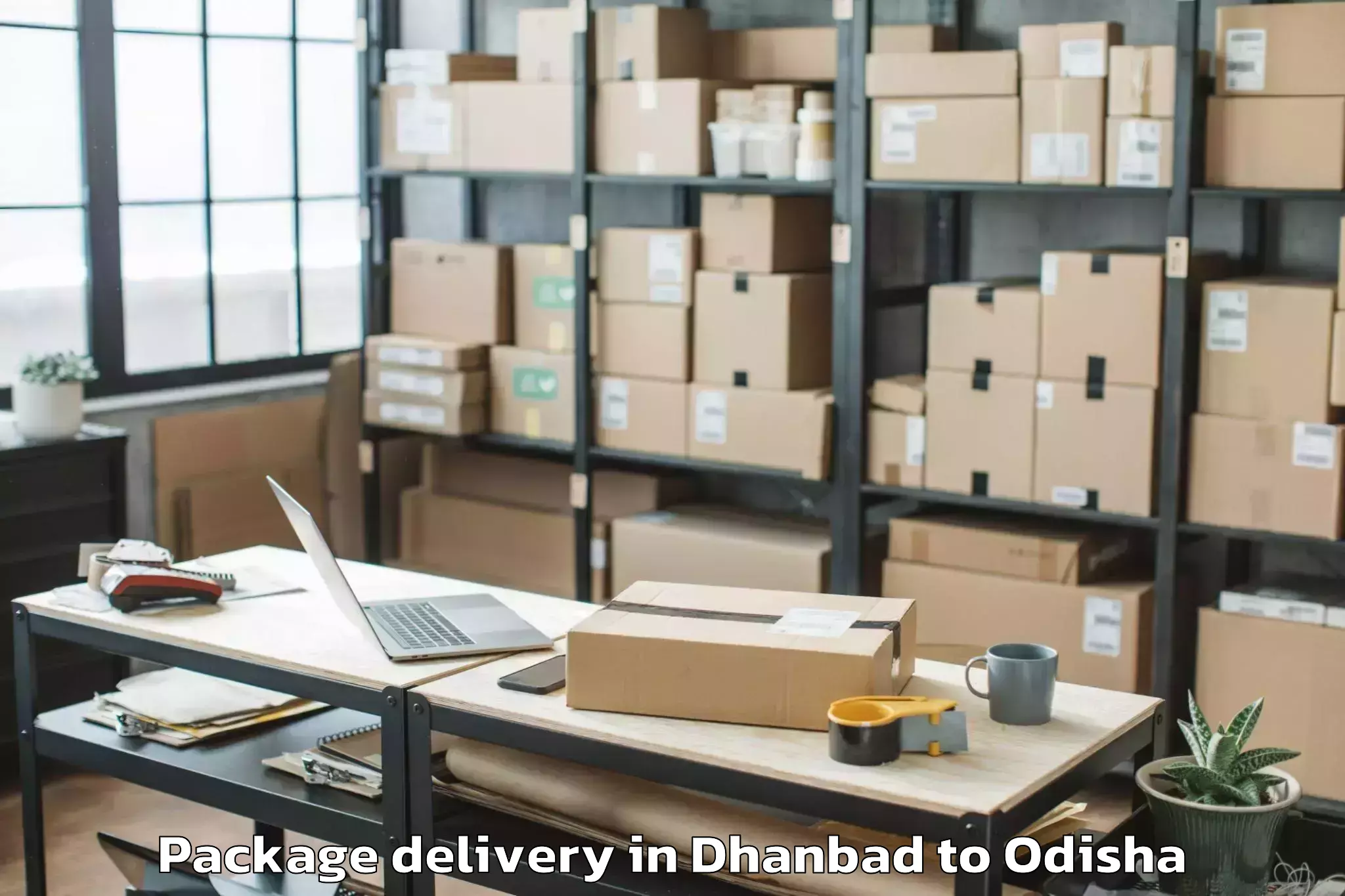 Quality Dhanbad to Purunakot Package Delivery